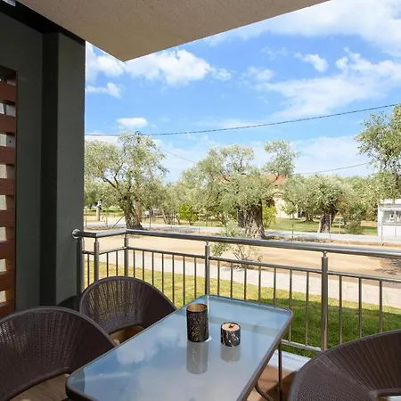 The Olive Land * Ormos Prinou (Thasos)